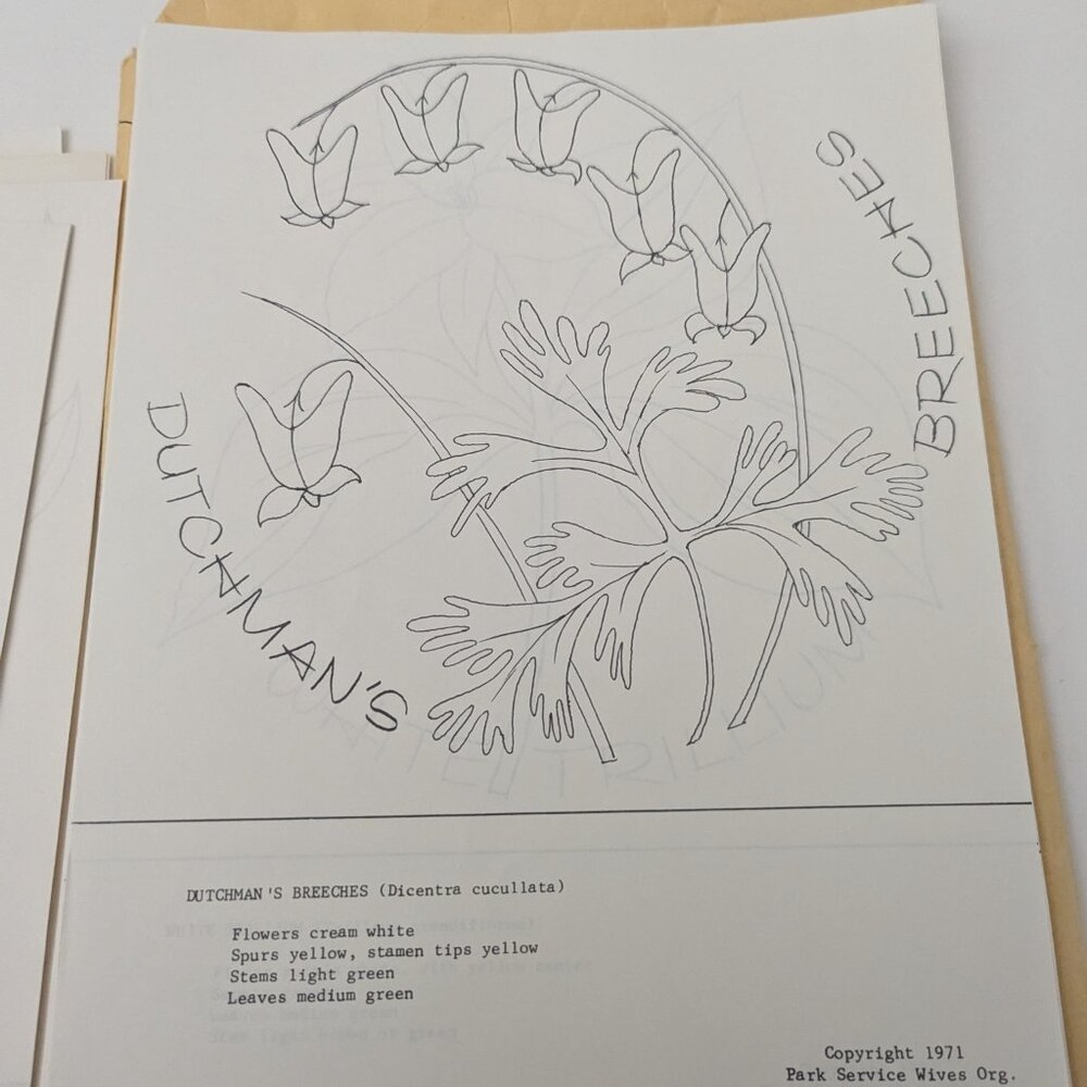 **Unique** 1970 Great Smoky Mountains Wildflower Needlework Designs - Quilting